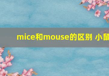 mice和mouse的区别 小鼠